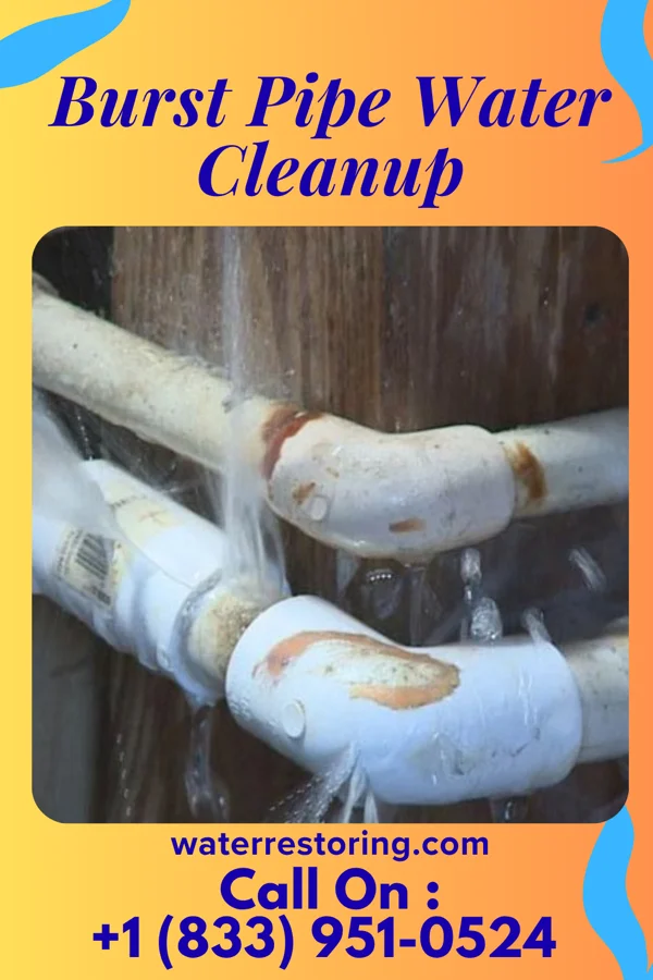 Burst Pipe Water Cleanup in Round Lake Park, IL