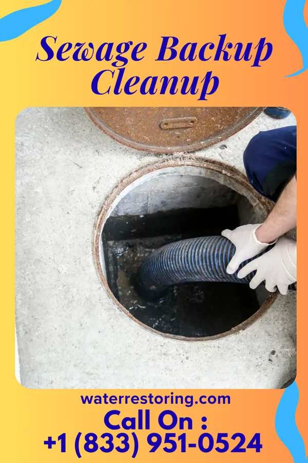 Sewage Backup Cleanup in Round Lake Park, IL